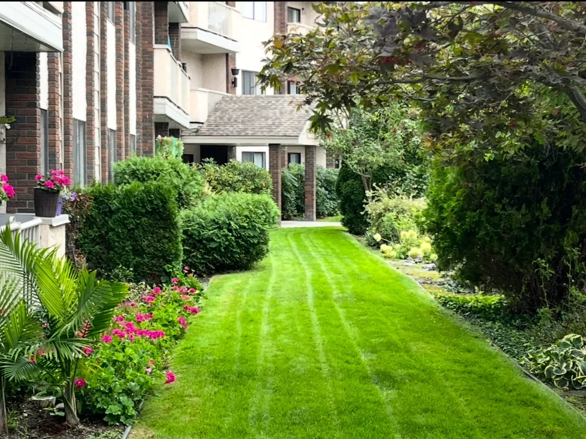 Landscape created by Gaia landscaping inc